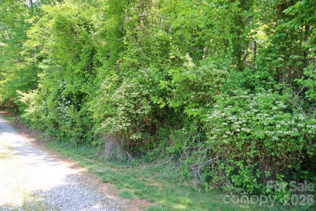 7 Hallaran Drive PT 3, Marshall, NC 28753