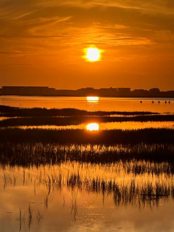 4999 Highway 17 Business Unit 103, Murrells Inlet, SC 29576