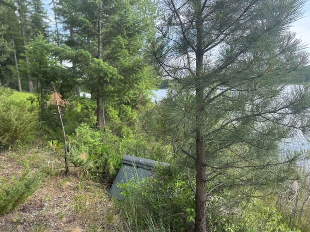 400 Cattail Drive, Whitefish, MT 59937 photo 3