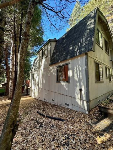 3561 Highway 4, Arnold, CA 95223