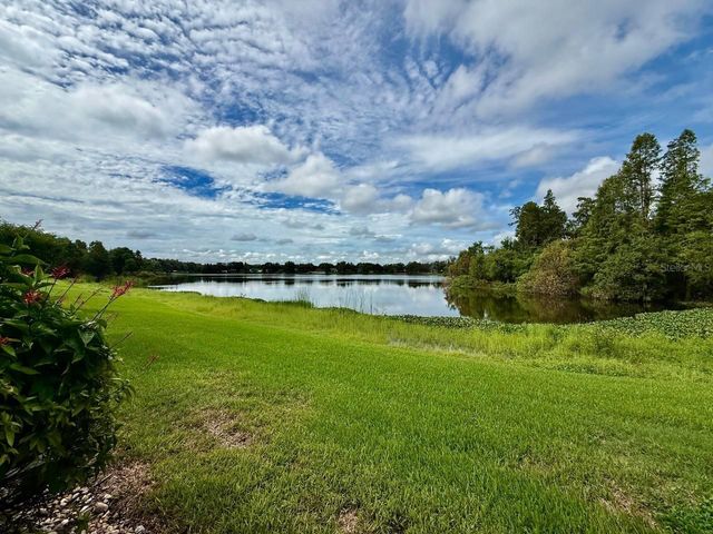 16596 BRIGADOON DRIVE, Tampa, FL 33618
