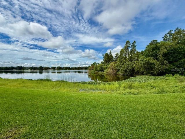 16596 BRIGADOON DRIVE, Tampa, FL 33618