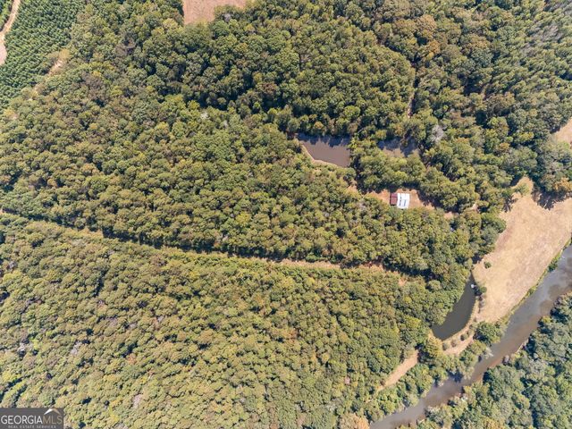 491 County Road 511, Woodland, AL 36280