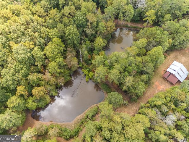 491 County Road 511, Woodland, AL 36280