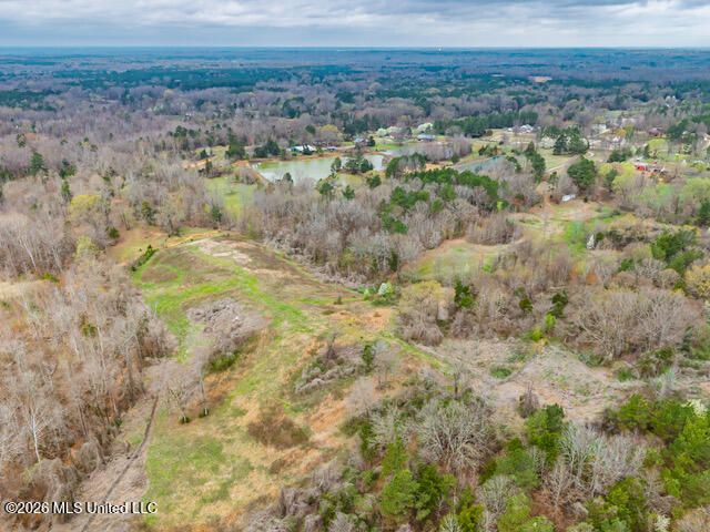 4597 Hernando Road, Holly Springs, MS 38635