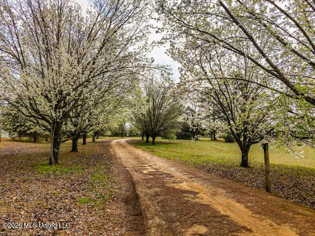 4597 Hernando Road, Holly Springs, MS 38635