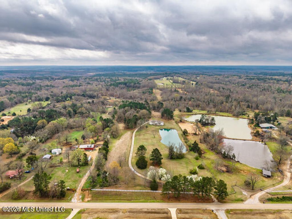4597 Hernando Road, Holly Springs, MS 38635 — photo 4