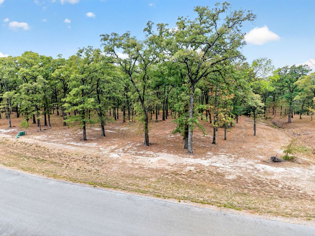 Lot 38 Vintage Shore Drive, Quinlan, TX 75474