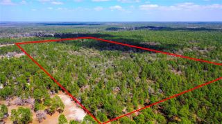 7137 W SUNMAR SAMPLE LANE, Dunnellon, FL 34433