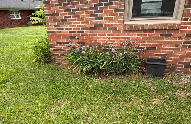105 Geneva Avenue, Irvine, KY 40336