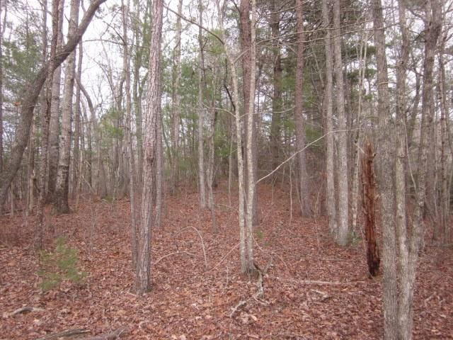0 Sparks Way, Talking Rock, GA 30175