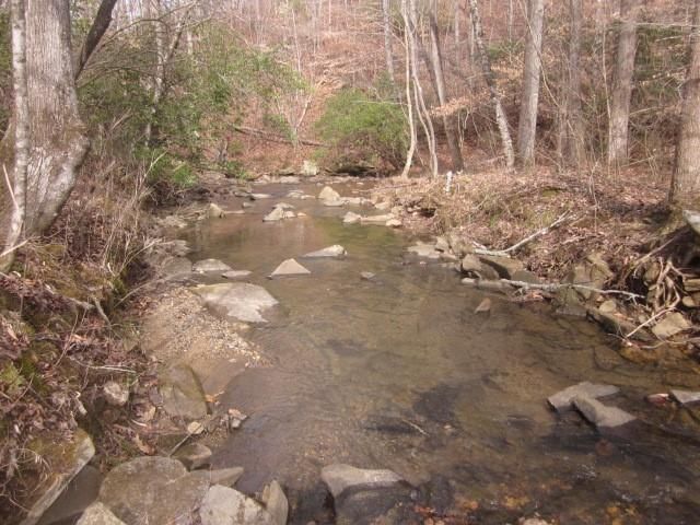 0 Sparks Way, Talking Rock, GA 30175