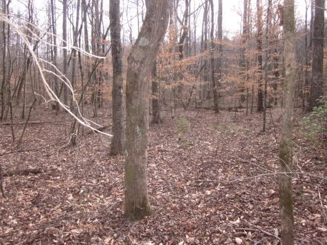0 Sparks Way, Talking Rock, GA 30175