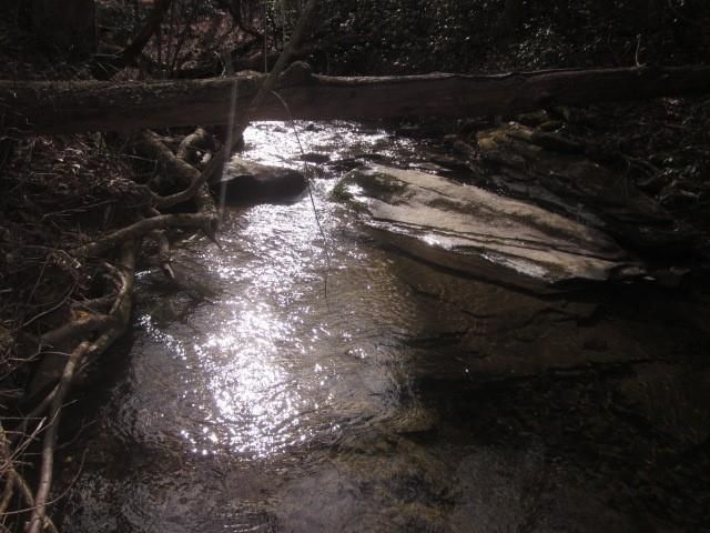 0 Sparks Way, Talking Rock, GA 30175