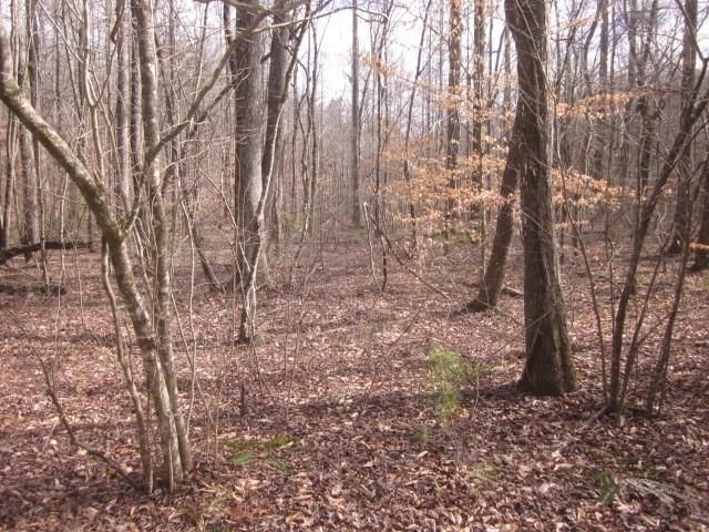 0 Sparks Way, Talking Rock, GA 30175