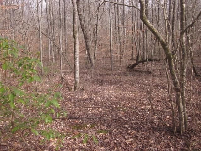 0 Sparks Way, Talking Rock, GA 30175