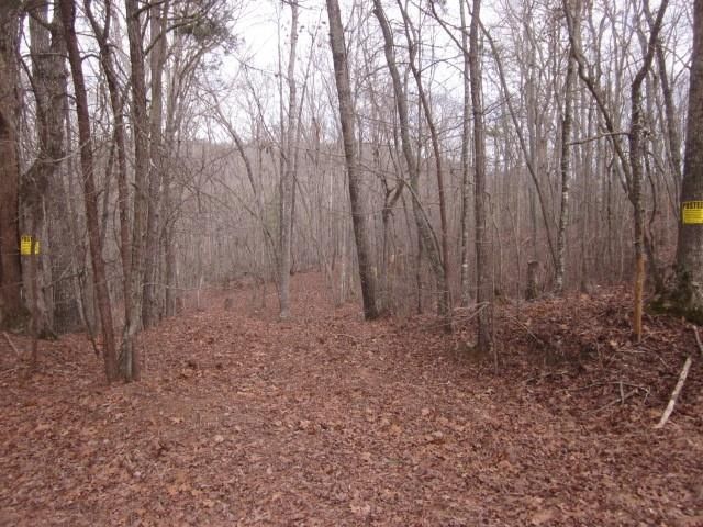 0 Sparks Way, Talking Rock, GA 30175