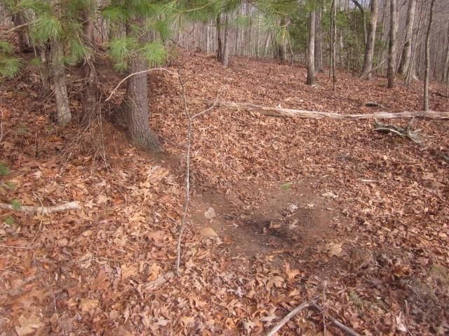 0 Sparks Way, Talking Rock, GA 30175