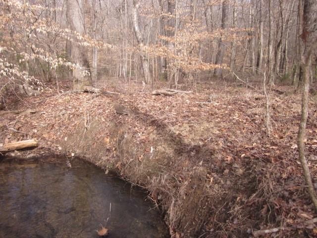0 Sparks Way, Talking Rock, GA 30175