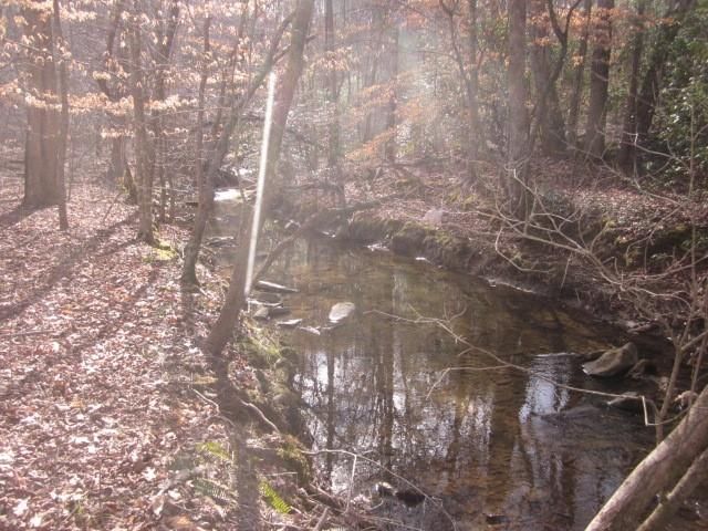 0 Sparks Way, Talking Rock, GA 30175