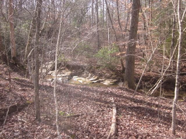 0 Sparks Way, Talking Rock, GA 30175