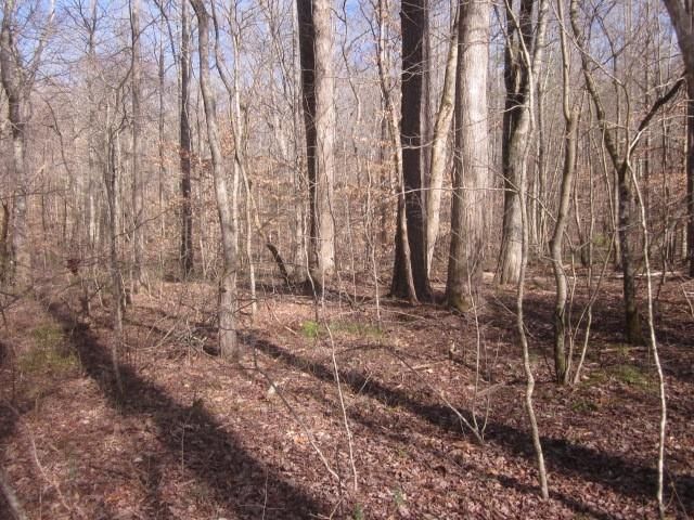 0 Sparks Way, Talking Rock, GA 30175
