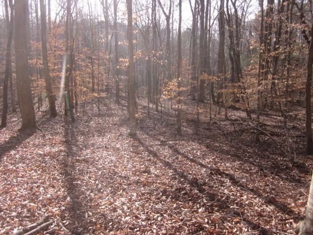 0 Sparks Way, Talking Rock, GA 30175