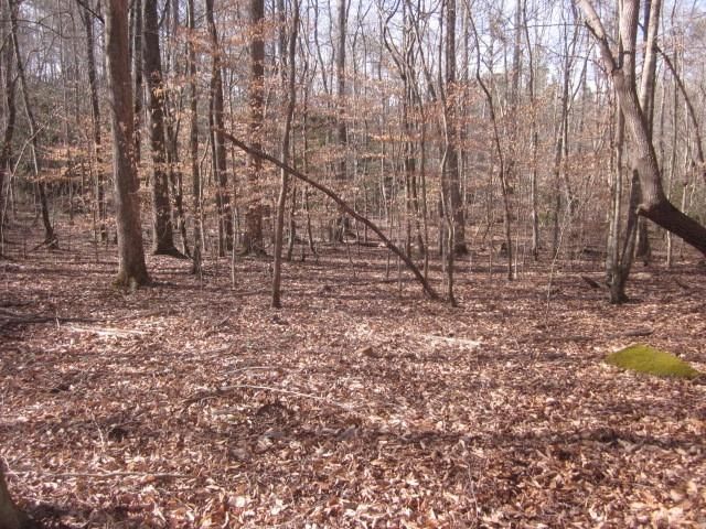 0 Sparks Way, Talking Rock, GA 30175