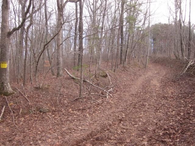 0 Sparks Way, Talking Rock, GA 30175