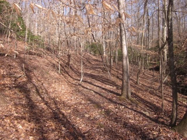 0 Sparks Way, Talking Rock, GA 30175