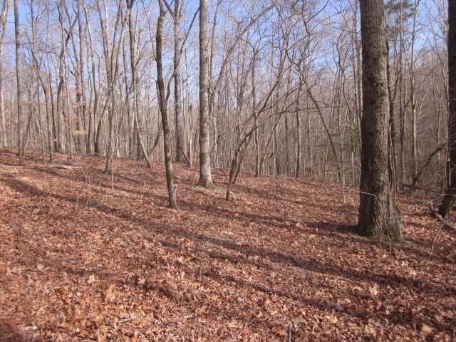 0 Sparks Way, Talking Rock, GA 30175