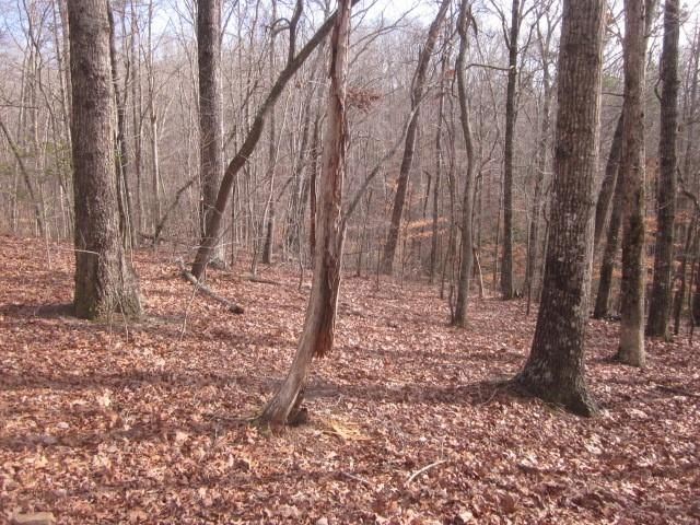 0 Sparks Way, Talking Rock, GA 30175
