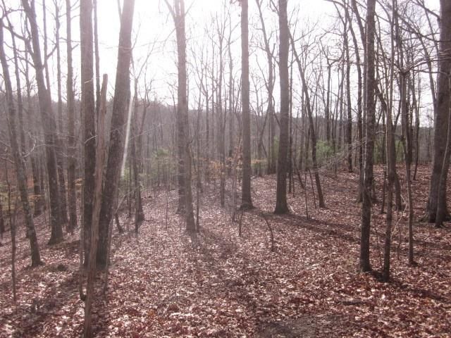 0 Sparks Way, Talking Rock, GA 30175
