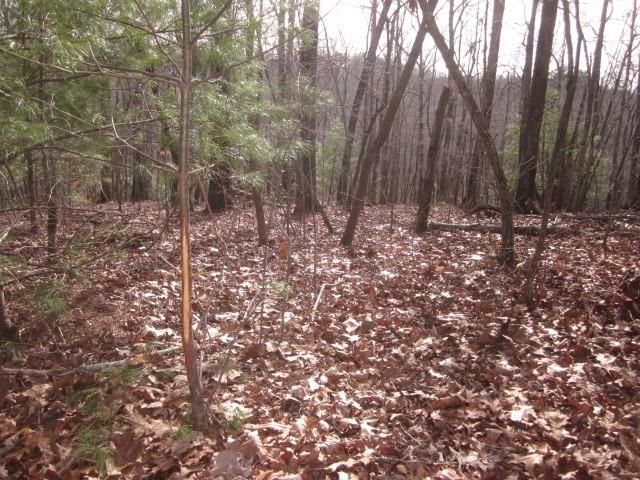 0 Sparks Way, Talking Rock, GA 30175
