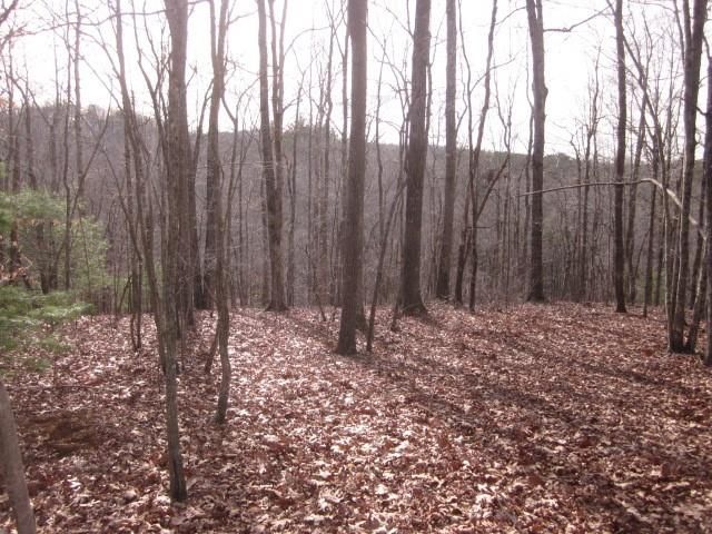 0 Sparks Way, Talking Rock, GA 30175