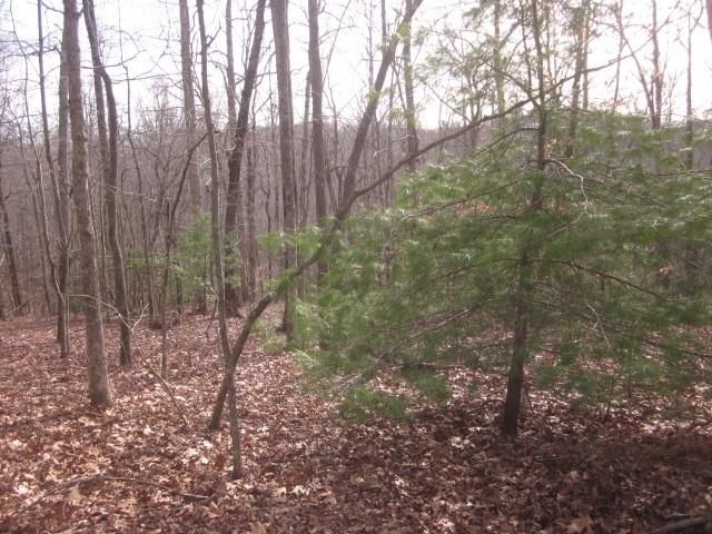 0 Sparks Way, Talking Rock, GA 30175