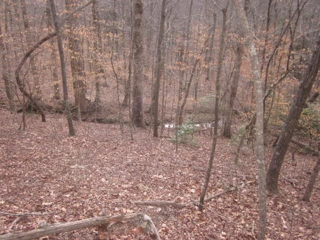 0 Sparks Way, Talking Rock, GA 30175