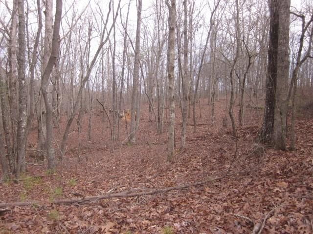 0 Sparks Way, Talking Rock, GA 30175