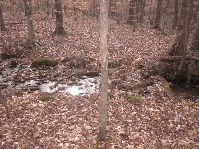 0 Sparks Way, Talking Rock, GA 30175