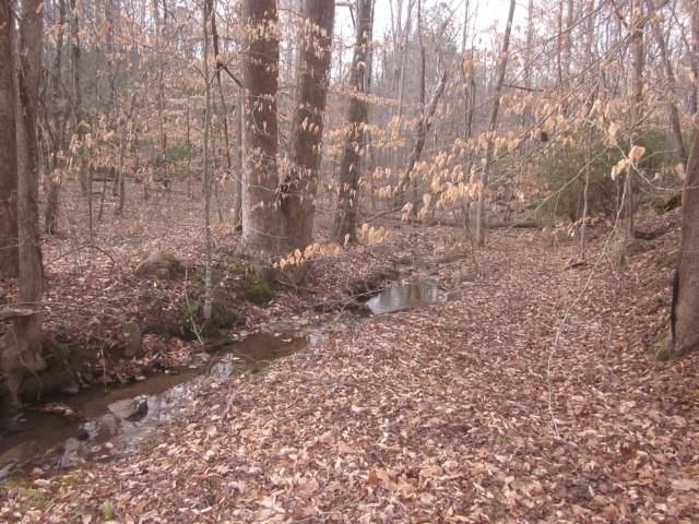 0 Sparks Way, Talking Rock, GA 30175