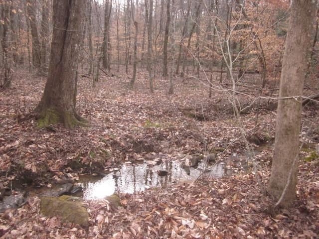 0 Sparks Way, Talking Rock, GA 30175