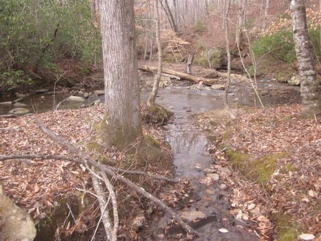 0 Sparks Way, Talking Rock, GA 30175