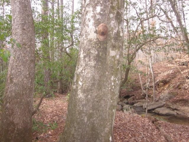 0 Sparks Way, Talking Rock, GA 30175