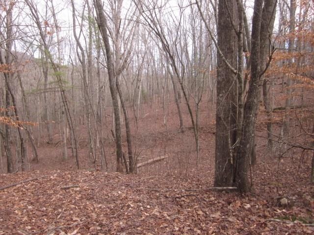 0 Sparks Way, Talking Rock, GA 30175