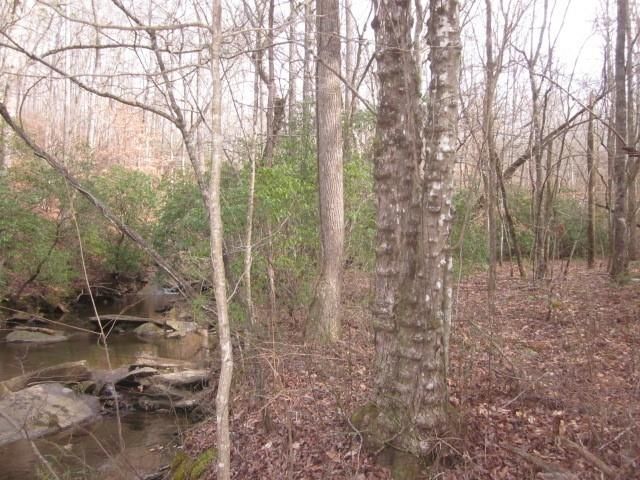 0 Sparks Way, Talking Rock, GA 30175