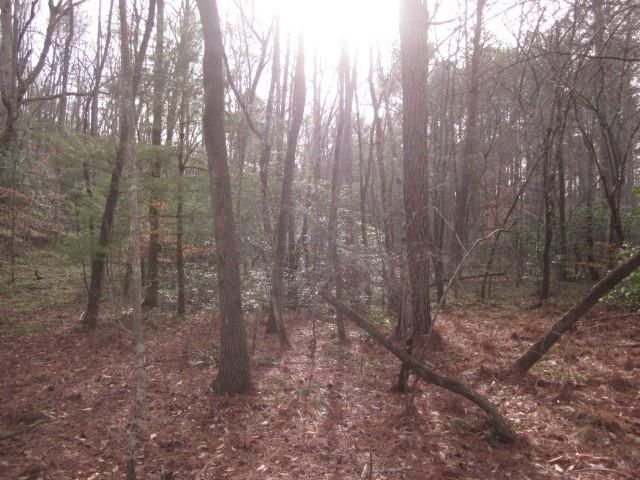 0 Sparks Way, Talking Rock, GA 30175
