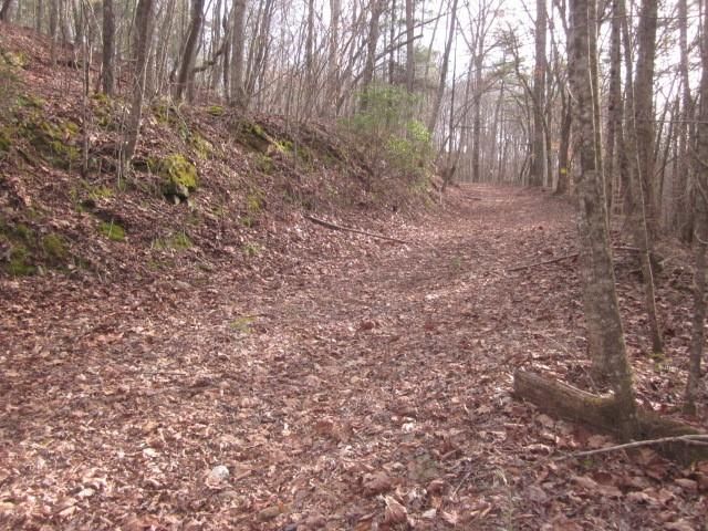 0 Sparks Way, Talking Rock, GA 30175