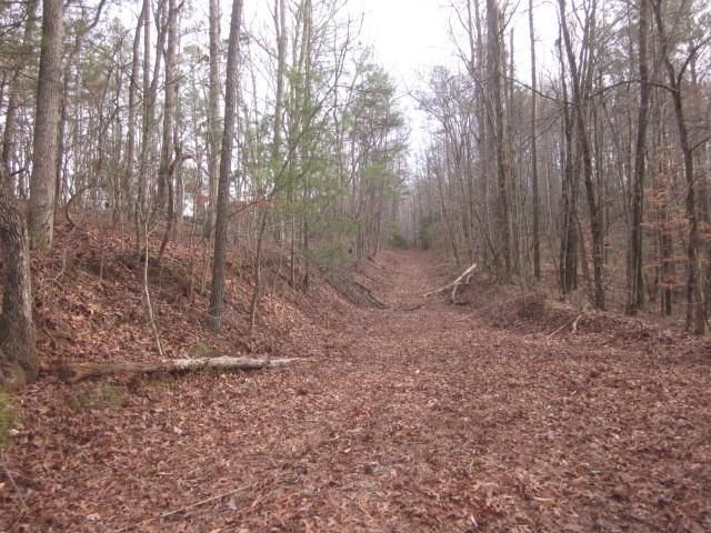 0 Sparks Way, Talking Rock, GA 30175