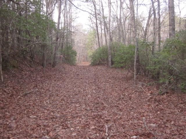 0 Sparks Way, Talking Rock, GA 30175