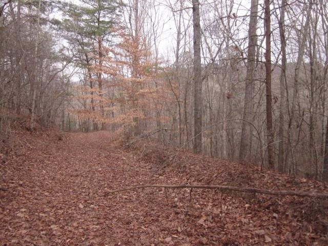 0 Sparks Way, Talking Rock, GA 30175